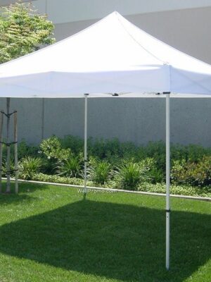 10x10 Pop-Up Tent